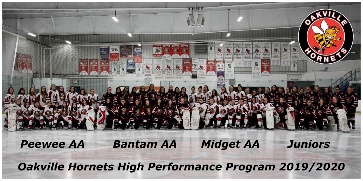 HPPTeams2019Captioned.jpg